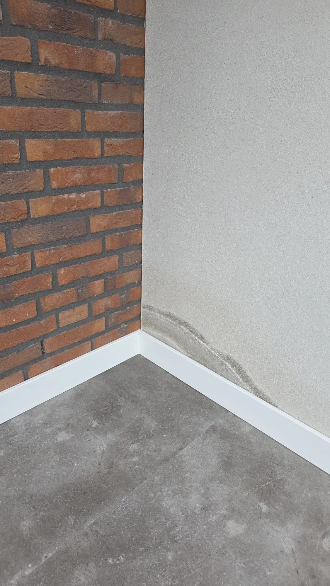 Optrekkend vocht probleem herkennen Probleemanalyse van optrekkend vocht en zoutuitslag op binnenmuur in Brabant